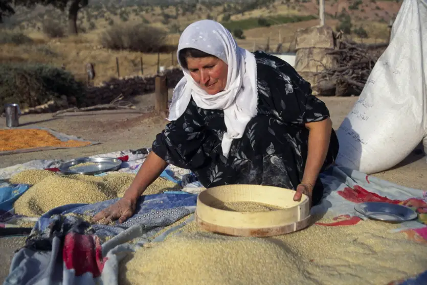 woman sifting grain