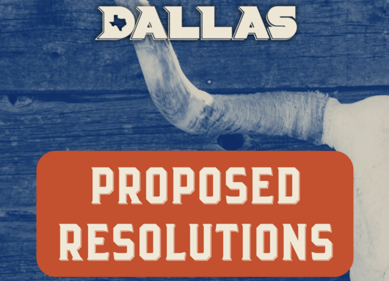 resolutions 2025 1024x739 1