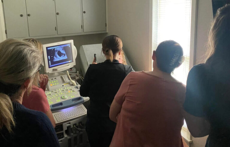 LRBA ultrasound 1024x655 1