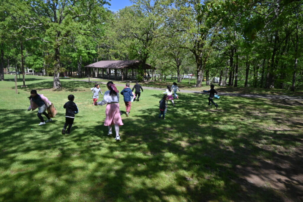 edb49bff963f6ce181be18f12e19a5d7